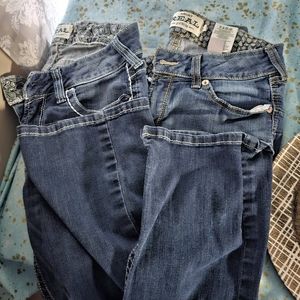 Ariat boot cut jeans